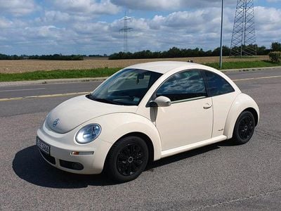 VW Beetle