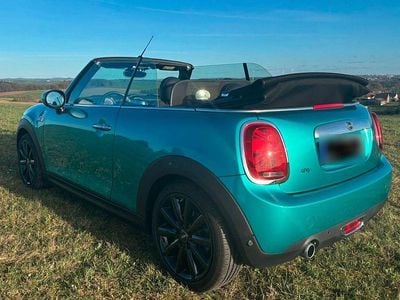 Usata Mini Cooper 136 CV (100 kW) 2020 Verde Utilitaria