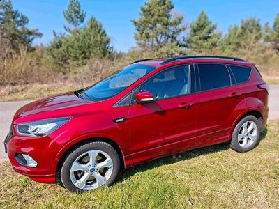Gebraucht Ford Kuga ST-Line 179 PS (131 kW) 2019 Rot SUV