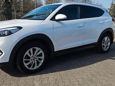 Gebraucht Hyundai Tucson Trend 141 PS (103 kW) 2017 Weiß SUV