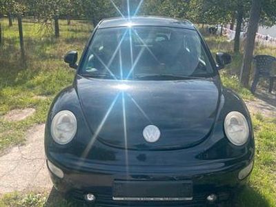 VW Beetle