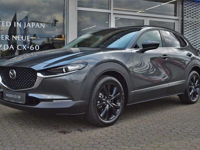 gebraucht Mazda CX-30 2.0 e-SKYACTIV-X M-Hybrid Homura, NAVI