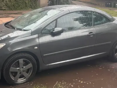 Gebraucht Peugeot 307 CC 136 PS (100 kW) 2007 Grün Cabrio