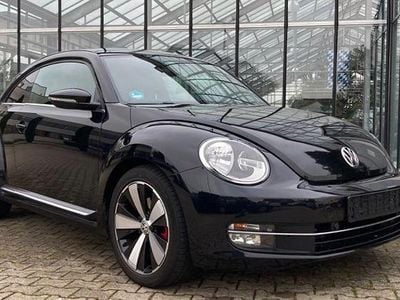 VW Beetle