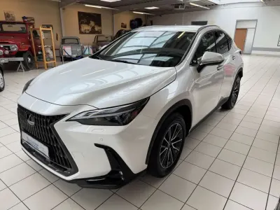 Gebraucht Lexus NX450h+ Business Edition 309 PS (227 kW) 2025 Titaniumweiss metallic SUV