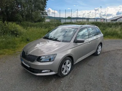 Gebraucht Skoda Fabia Joy 110 PS (80 kW) 2016 Beige Kombi