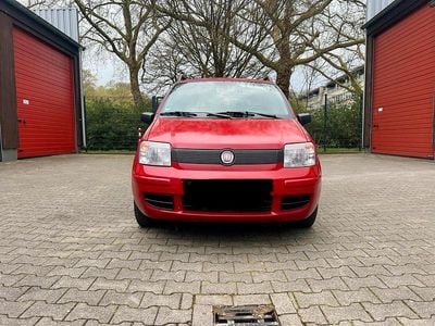 Gebraucht Fiat Panda 60 PS (44 kW) 2009 Rot Kleinwagen