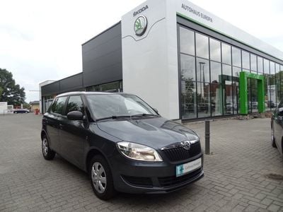 Gebraucht Skoda Fabia Active 60 PS (44 kW) 2014 Grau metallic Kleinwagen