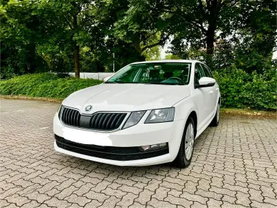 Gebraucht Skoda Octavia 115 PS (84 kW) 2017 Weiß Kombi