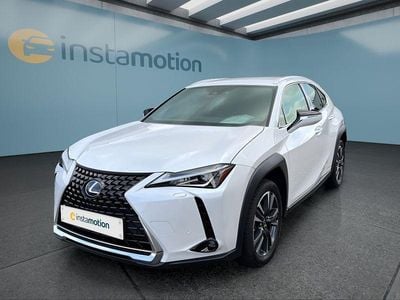 Gebraucht Lexus UX 250h 184 PS (135 kW) 2022 Weiß SUV