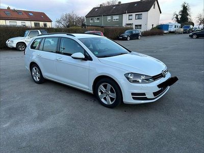 Gebraucht VW Golf VII Trendline 110 PS (80 kW) 2015 Weiß Kombi