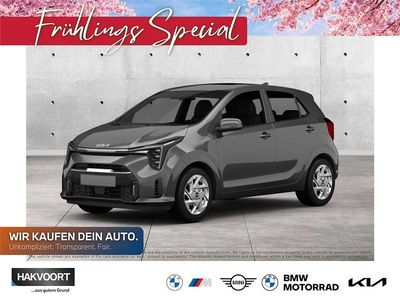 Gebraucht Kia Picanto Vision 67 PS (49 kW) 2024 (eu3) smoke blue Kleinwagen