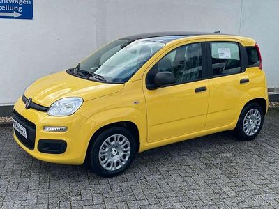 Gebraucht Fiat Panda 71 PS (52 kW) 2025 Gelb Kleinwagen