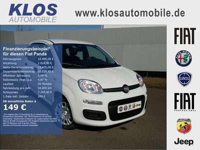 Neu Fiat Panda 69 PS (50 kW) 2025 Weiss Kleinwagen