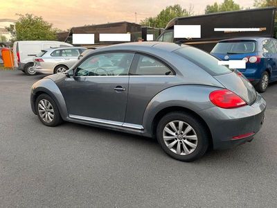 VW Beetle