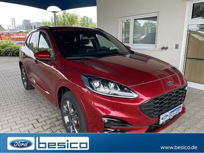 Usata Ford Kuga ST-Line X 224 CV (164 kW) 2024 Rosso SUV