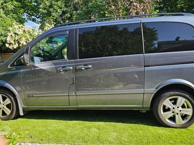 Mercedes Viano