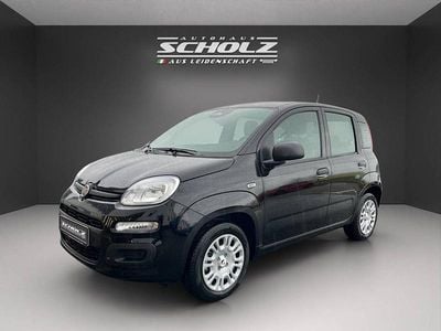 Neu Fiat Panda Icon 65 PS (47 kW) 2025 Schwarz Kleinwagen