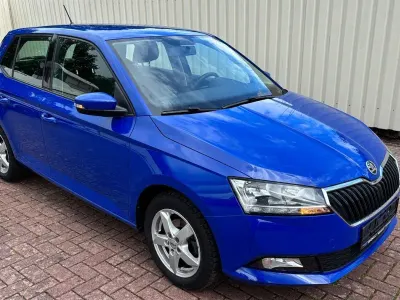 Gebraucht Skoda Fabia Active 60 PS (44 kW) 2020 Blau Kleinwagen