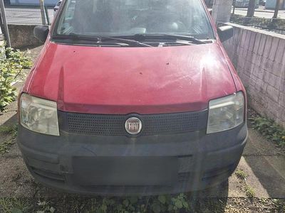 Usata Fiat Panda 60 CV (44 kW) 2009 Rosso Utilitaria