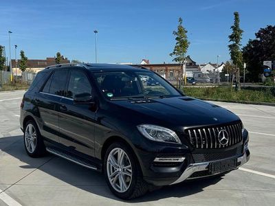 Mercedes ML250