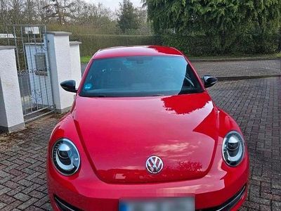 Occasion VW Beetle Sport 160 PK (117 kW) 2013 Rood Hatchback