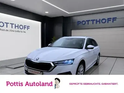 Gebraucht Skoda Octavia Style 116 PS (85 kW) 2024 Weiß Kombi
