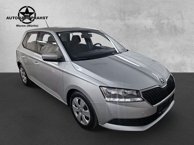 Silber Gebraucht 2021 Skoda Fabia Cool Plus Kleinwagen | 11.800 € (Fairer Preis)