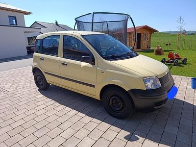 Usata Fiat Panda 54 CV (39 kW) 2009 Giallo Utilitaria
