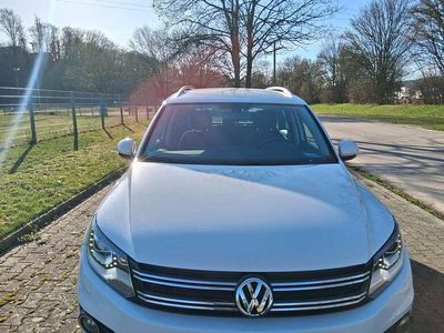 Gebraucht VW Tiguan Cup 160 PS (117 kW) 2015 Weiß SUV