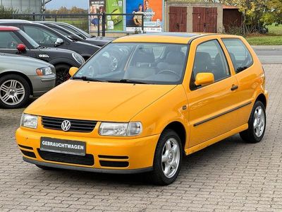 VW Polo