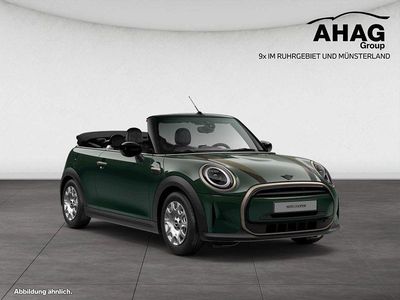 Gebraucht Mini Cooper Cabriolet 136 PS (100 kW) 2023 Grün Cabrio