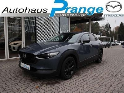 Gebraucht Mazda CX-30 Nagisa 140 PS (102 kW) 2024 Polymetal gray SUV