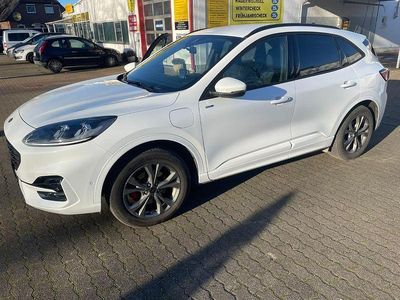 Gebraucht Ford Kuga ST-Line X 224 PS (164 kW) 2024 Weiß SUV