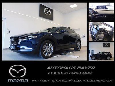 Gebraucht Mazda CX-30 Selection 150 PS (110 kW) 2022 Blau SUV