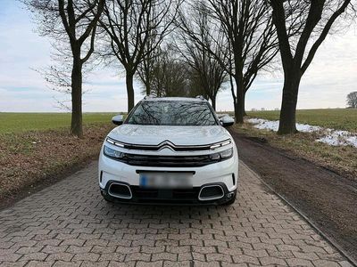 Gebraucht Citroën C5 Aircross 177 PS (130 kW) 2019 Weiß SUV