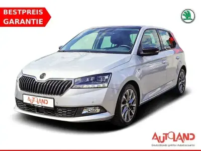 Gebraucht Skoda Fabia Clever 95 PS (69 kW) 2021 Silber Kleinwagen