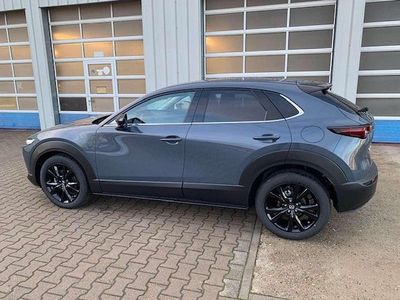 Neu Mazda CX-30 Homura-Line 140 PS (102 kW) 2026 Polymetal gray SUV