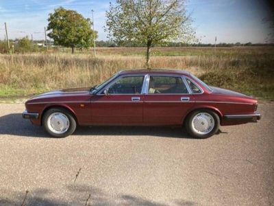 gebraucht Jaguar XJ12 6.0