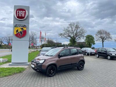 gebraucht Fiat Panda PandaTrussardi 1.2,1.Hd.,Klima,ZV,PDC,el.FH