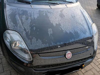 Fiat Punto Evo