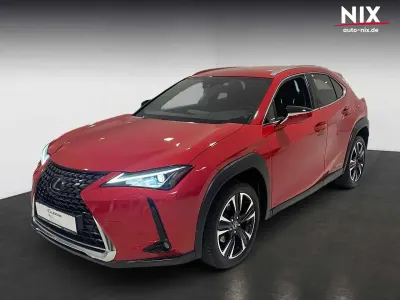 Gebraucht Lexus UX 250h 184 PS (135 kW) 2022 Rot SUV