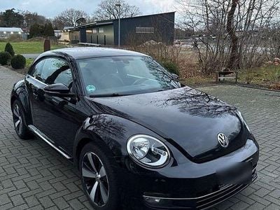 VW Beetle