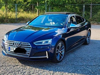 gebraucht Audi S5 Sportback 3.0 TFSI qu. S-Sitze Pano Assistenz LED 19"