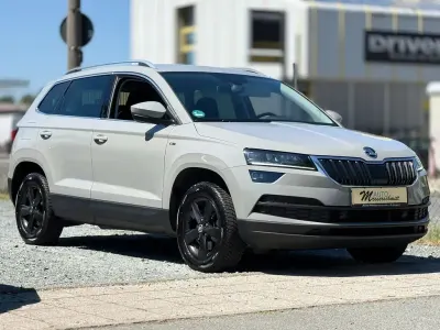 Gebraucht Skoda Karoq Ambition 150 PS (110 kW) 2019 Grau SUV