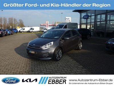 Grau Gebraucht 2016 Kia Rio Platinum Edition Limousine | 11.951 € (Teuer)