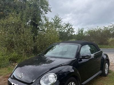 VW Beetle