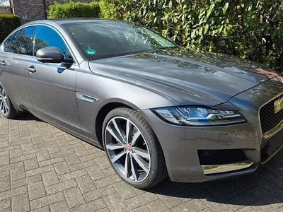 Gebraucht Jaguar XF Portfolio 300 PS (220 kW) 2016 Grau Limousine