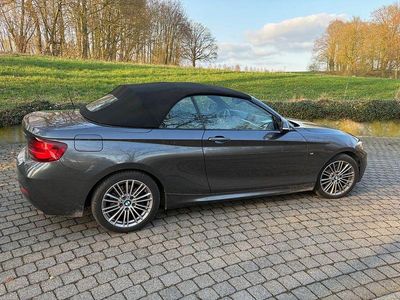 Gebraucht BMW 220 M Sport 184 PS (135 kW) 2020 Grau Cabrio