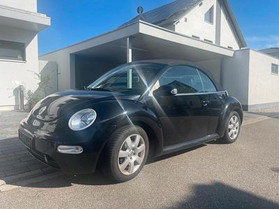 VW Beetle